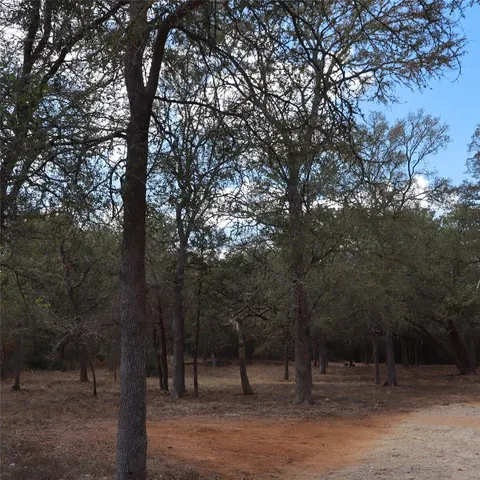 $2,100 | 282 Texas Oak Drive, Cedar Creek, TX 78612