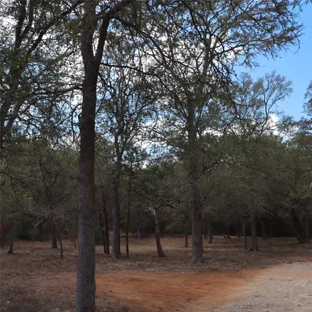 a view of outdoor space