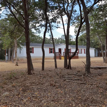 a view of a backyard with large tree