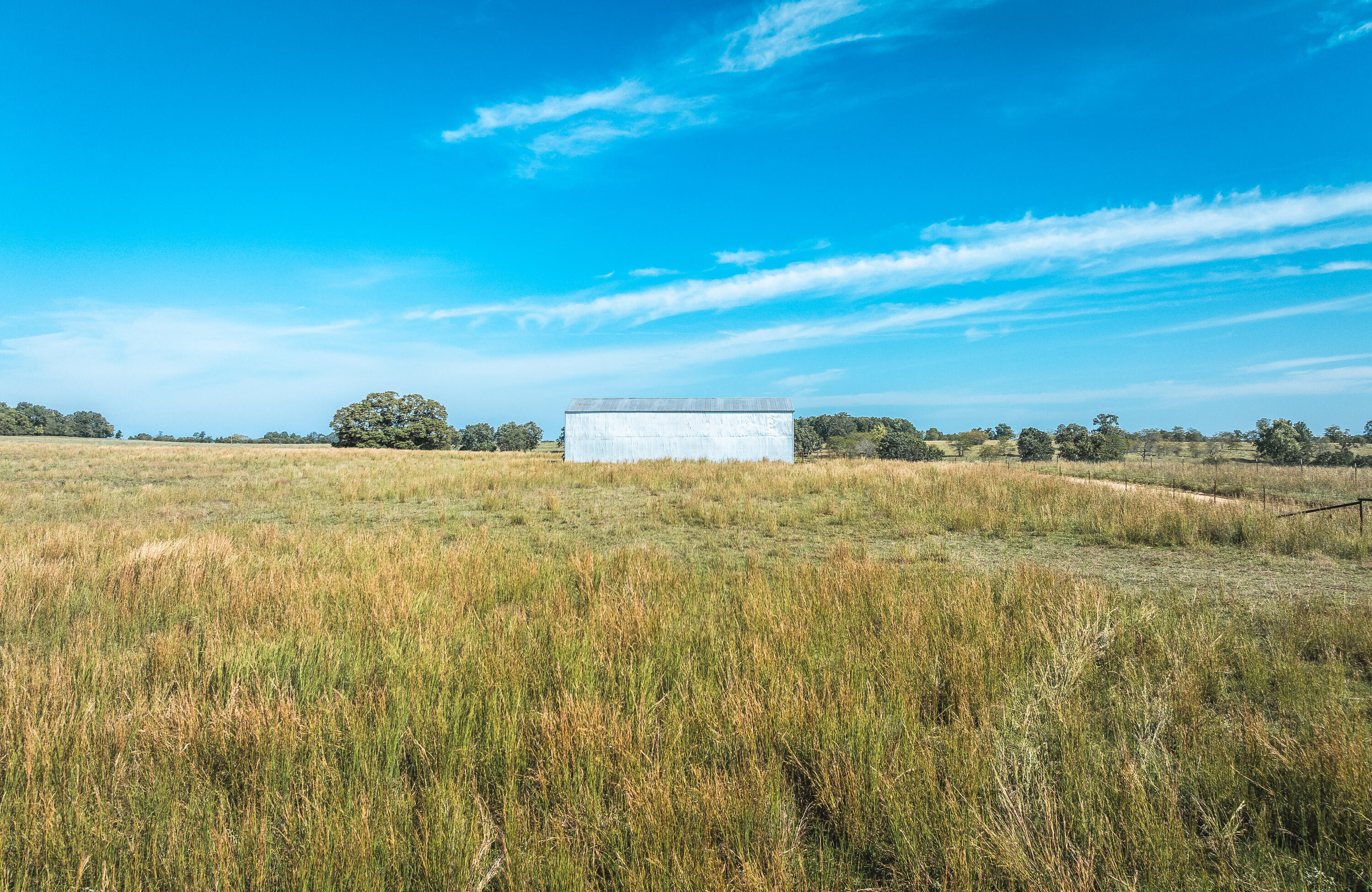 5451 Bado Road Cabool, MO 65689 - Photo 77 of 111 DJI_20240919103416_0228_D