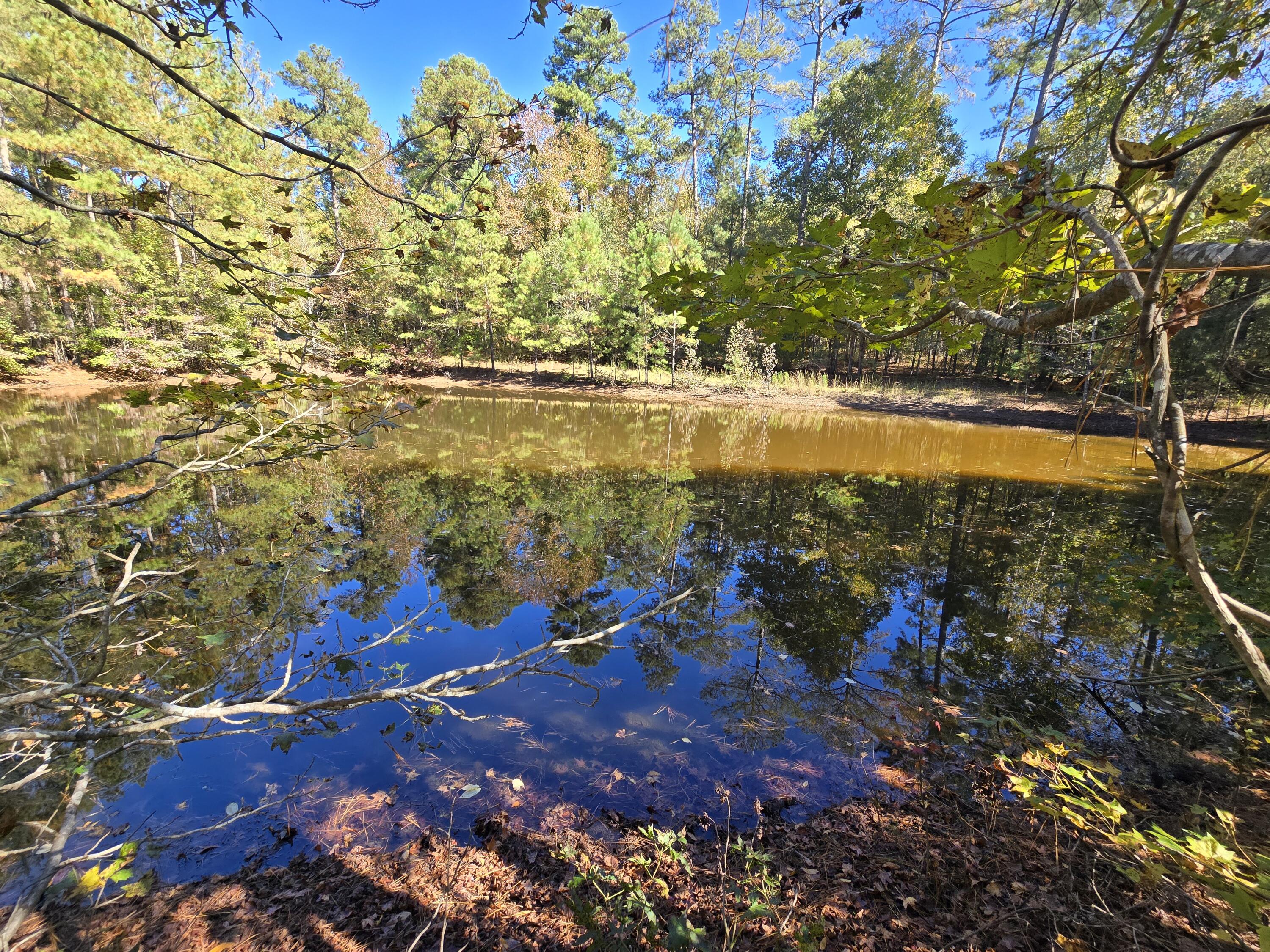 7501 Rainey Morris Road Appling, GA 30802 - Photo 24 of 47 20251031_133255