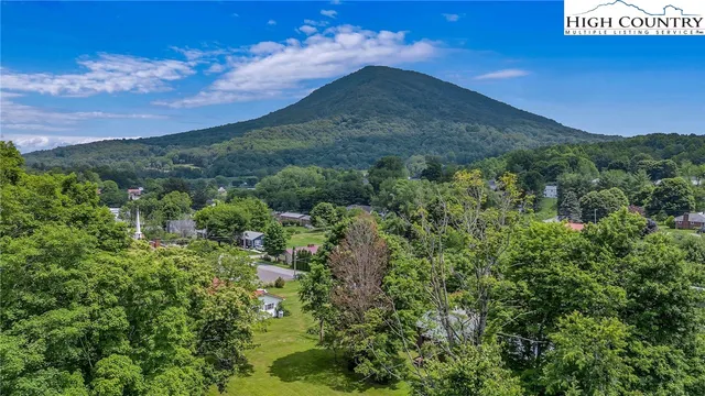 a view of a city with lush green forest
