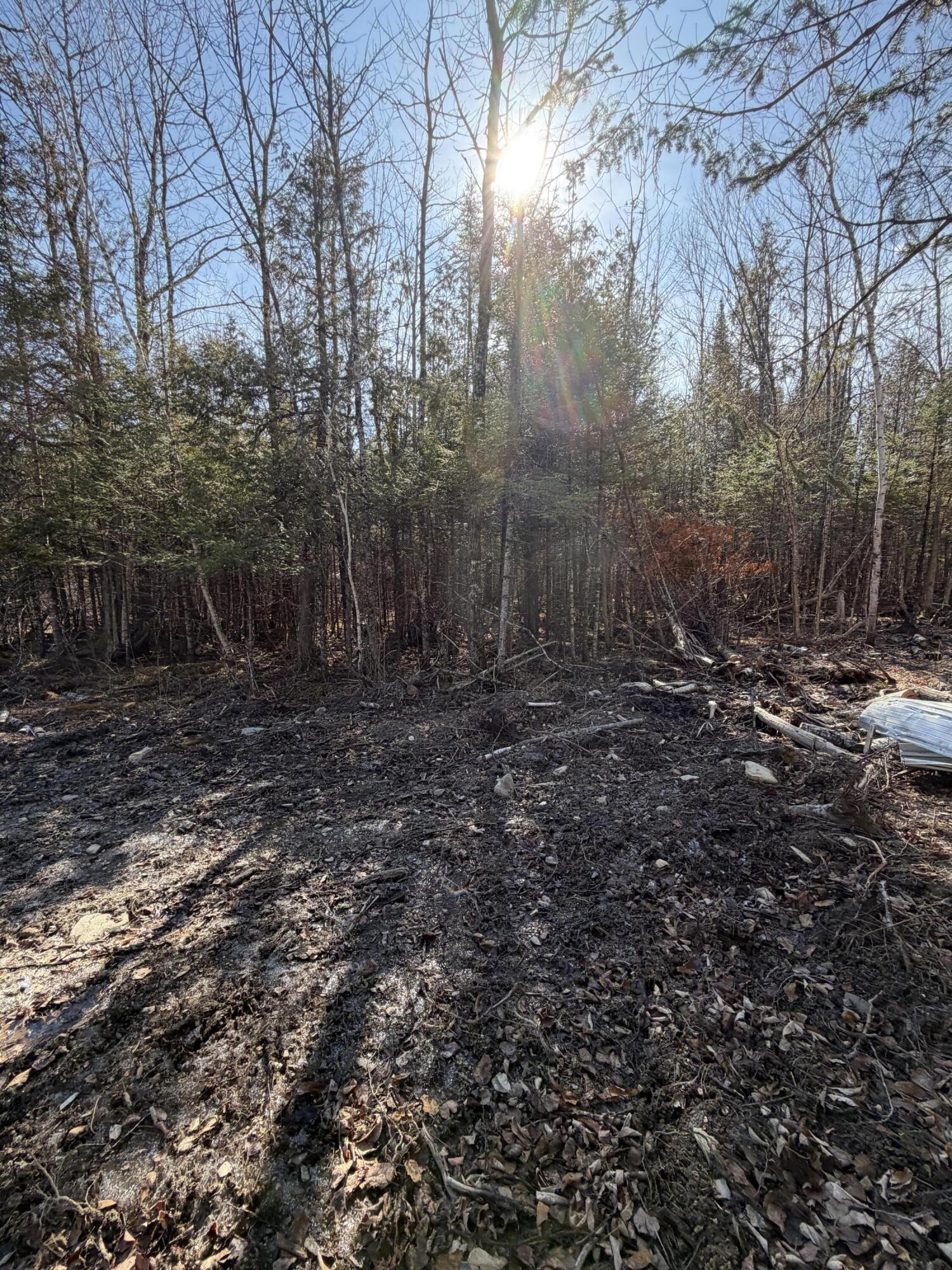 358 Puddledock Road Charleston, ME 04422 - Photo 4 of 17 Land