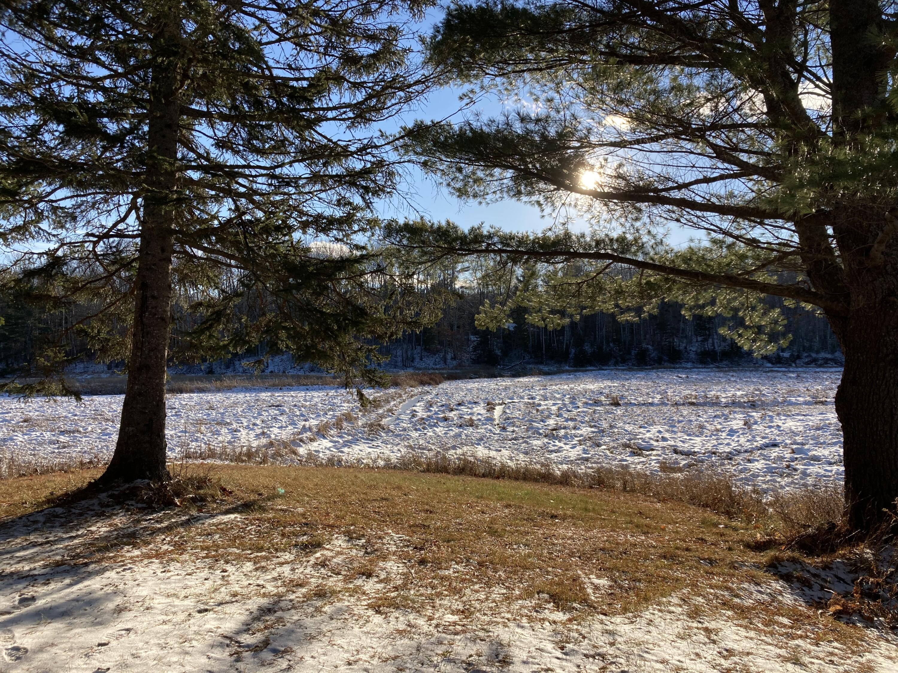 209 Hog Bay Road Franklin, ME 04634 - Photo 25 of 29 Picnic area.
