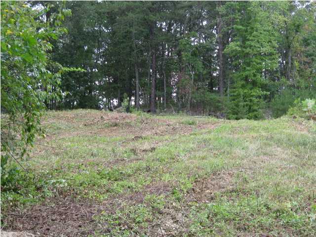 787 Hyatte Road Soddy Daisy, TN 37379 - Photo 1 of 1 Primary Photo