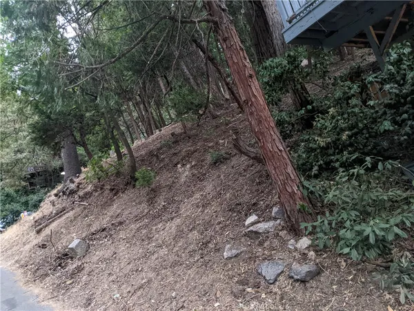 a view of a yard