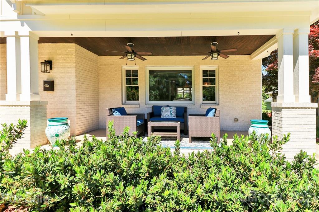 1901 Truman Road Charlotte, NC 28205 - Photo 4 of 39 a garden view with a seating space