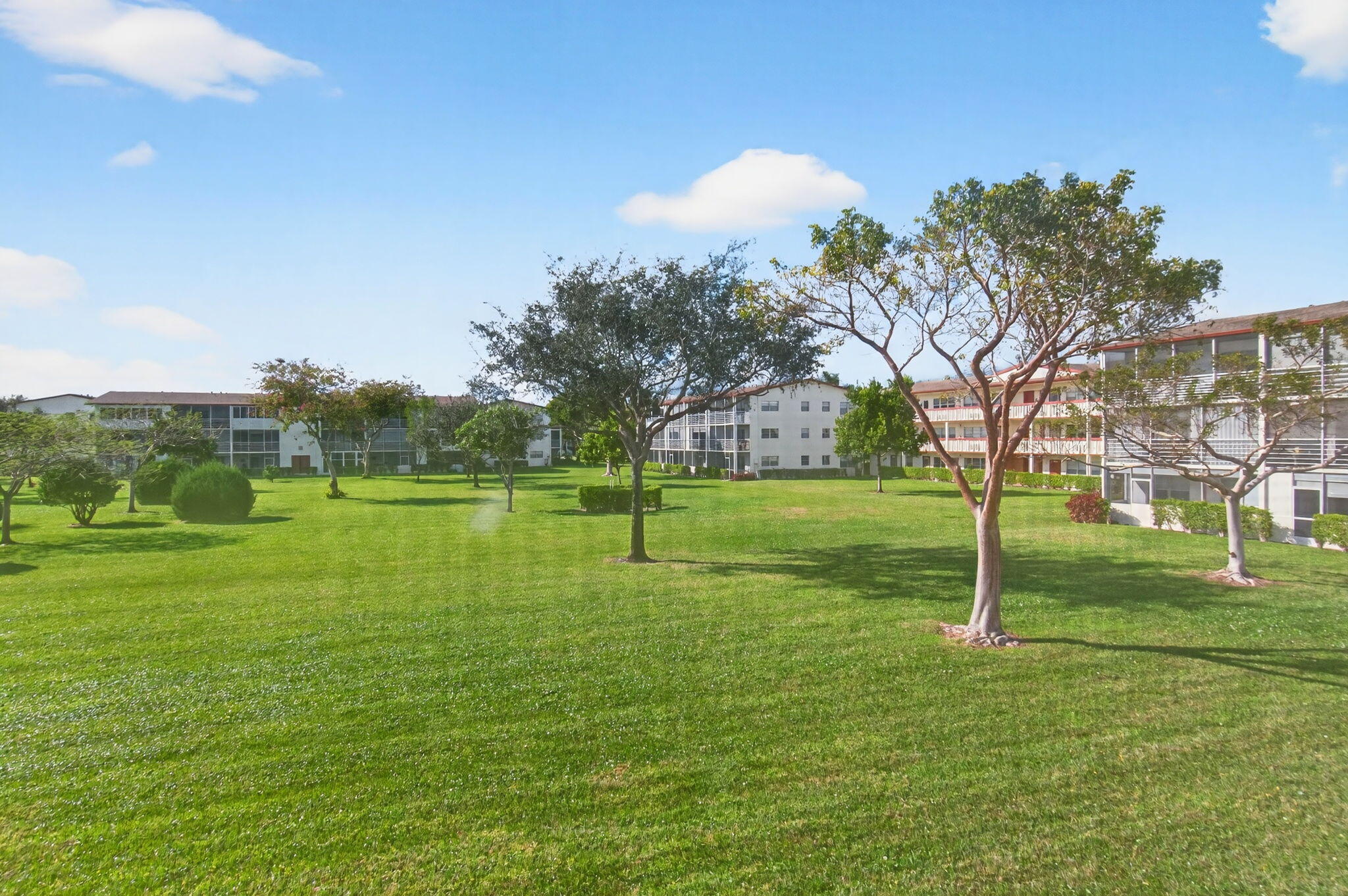 359 Brighton I Boca Raton, FL 33434 - Photo 22 of 34 a view of a park with large trees