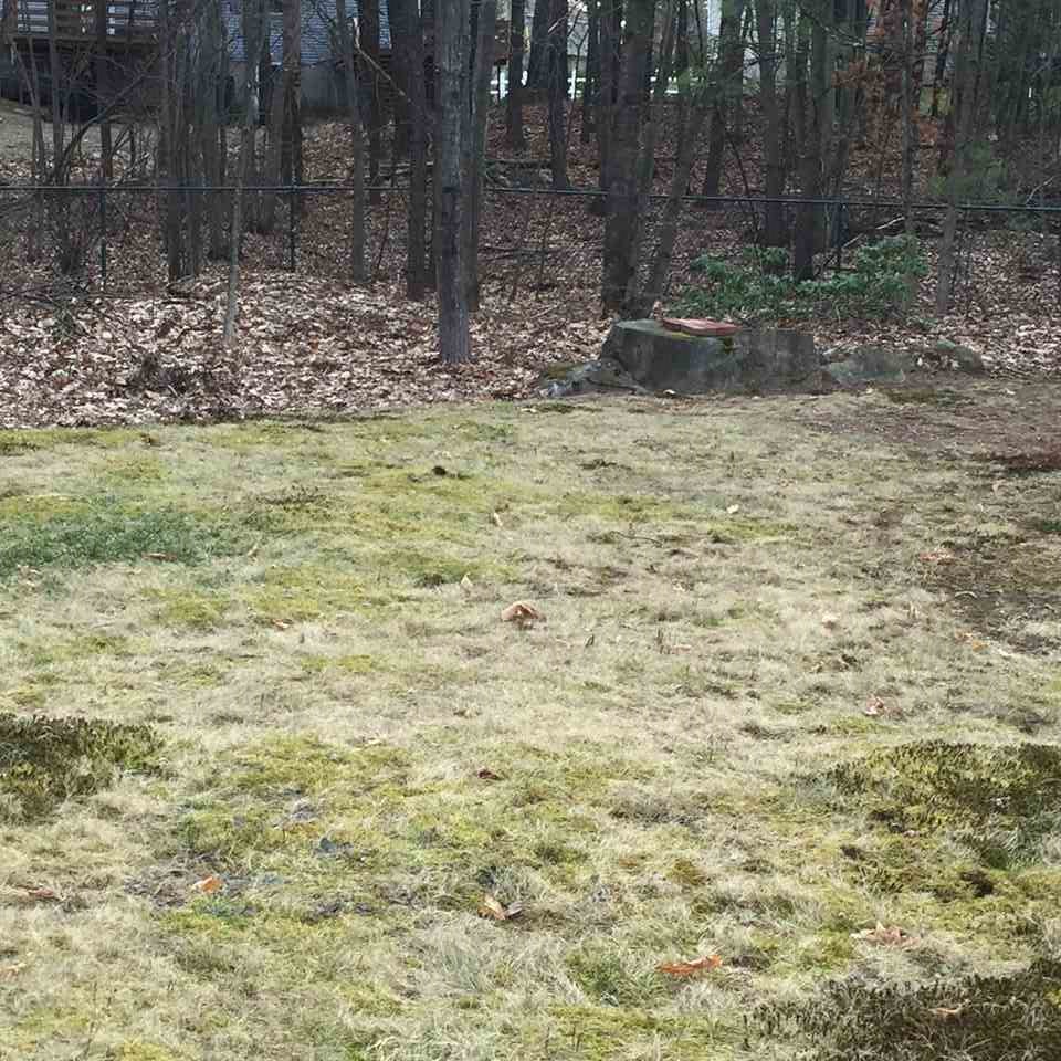 77 Conant Road Nashua, NH 03062 - Photo 27 of 30