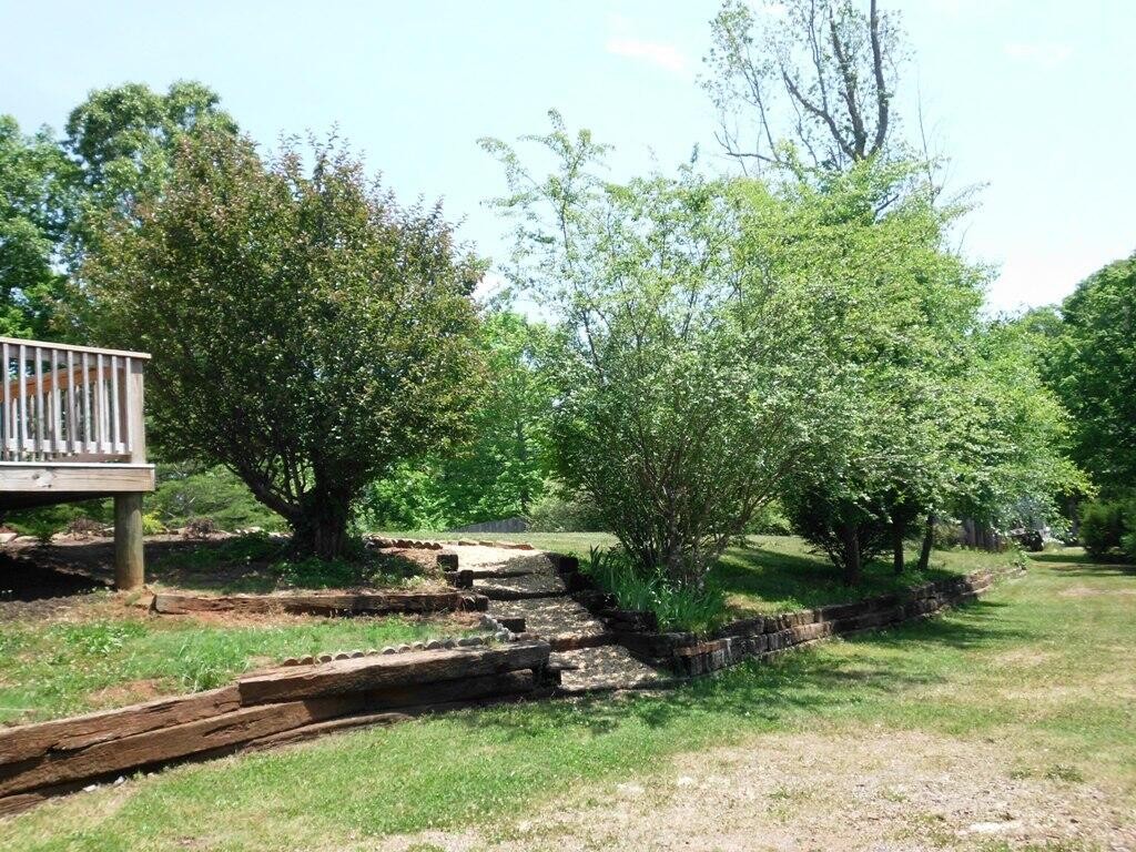 365 Cagle Road Tellico Plains, TN 37385 - Photo 30 of 40 Gallery Image 30