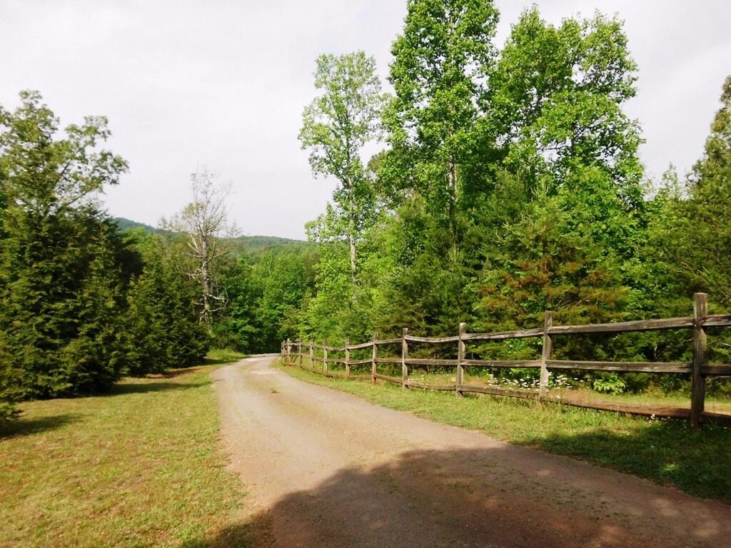 365 Cagle Road Tellico Plains, TN 37385 - Photo 4 of 40 Gallery Image 4