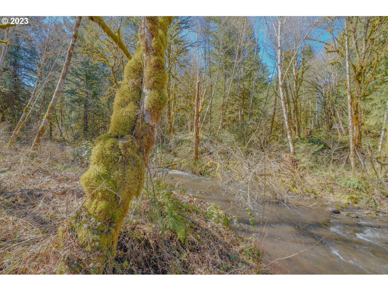 36785 Parsons Creek Road Springfield, OR 97478 - Photo 2 of 39 Gallery Image 2