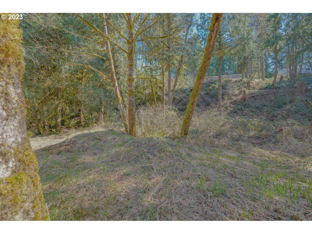 36785 Parsons Creek Road Springfield, OR 97478 - Photo 4 of 39 Gallery Image 4