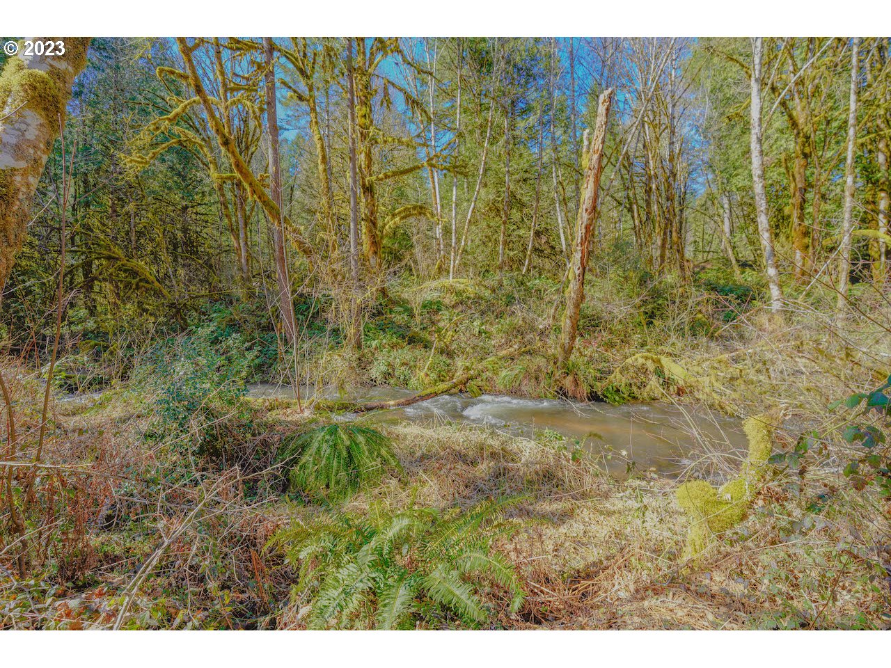 36785 Parsons Creek Road Springfield, OR 97478 - Photo 8 of 39 Gallery Image 8
