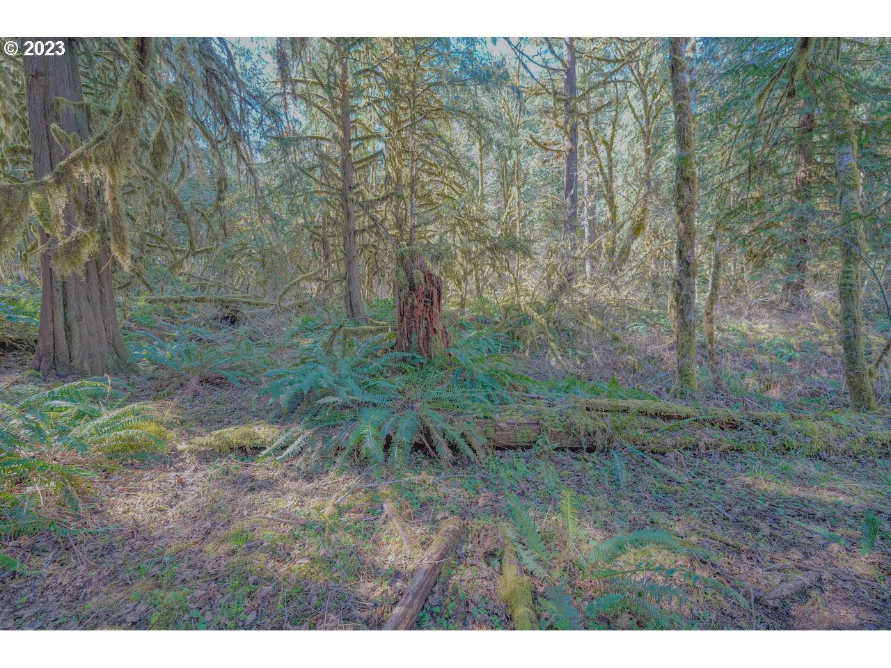 36785 Parsons Creek Road Springfield, OR 97478 - Photo 9 of 39 Gallery Image 9