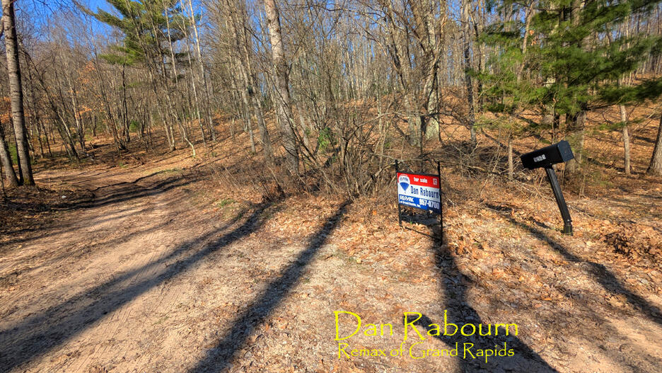 5263 East 8 Mile Road Luther, MI 49656 - Photo 3 of 18 Gallery Image 3