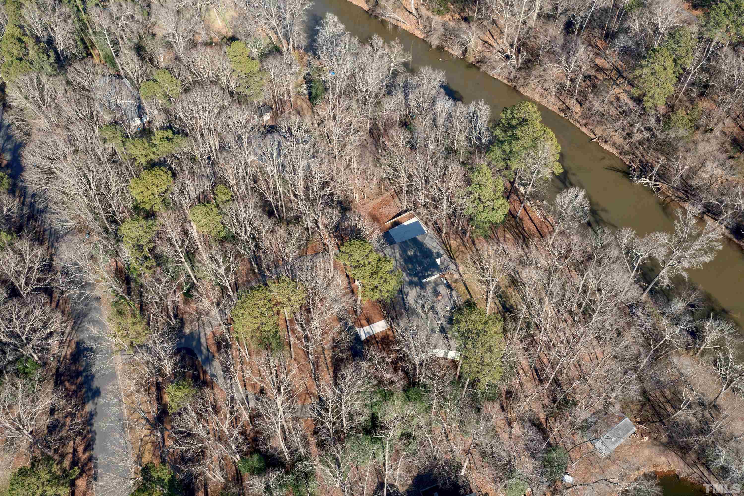 5413 Edington Lane Raleigh, NC 27604 - Photo 47 of 59 a view of a forest with a tree