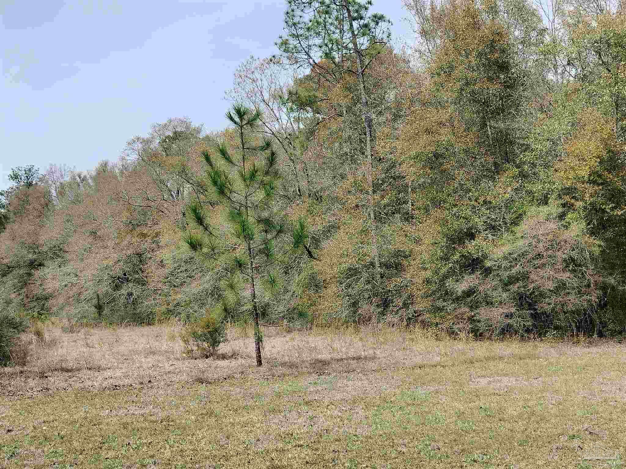 1853 Penton Road Milton, FL 32570 - Photo 3 of 7 Gallery Image 3