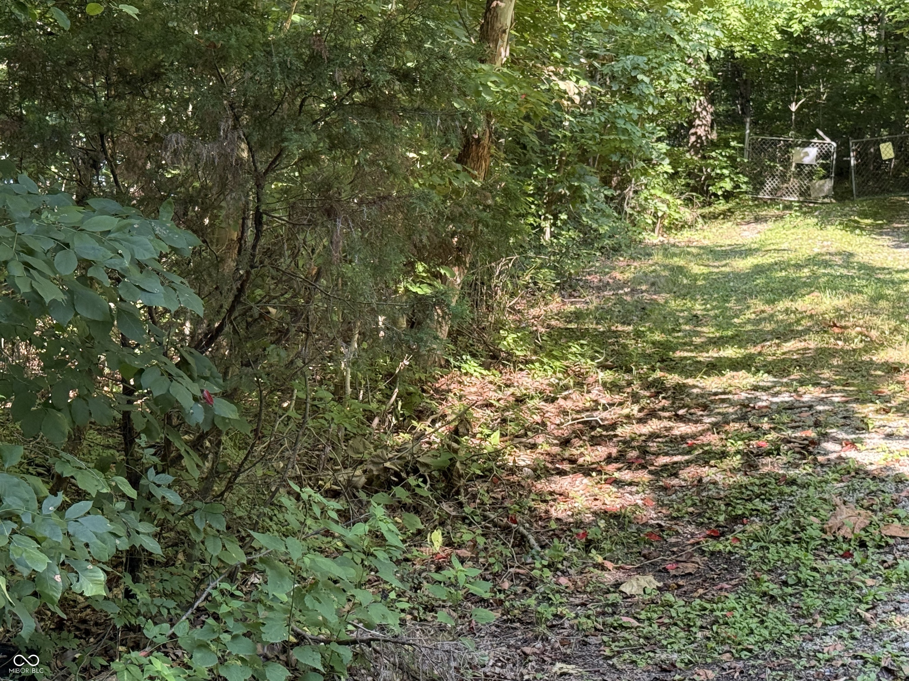 8401 Buffalo Road Poland, IN 47868 - Photo 4 of 8