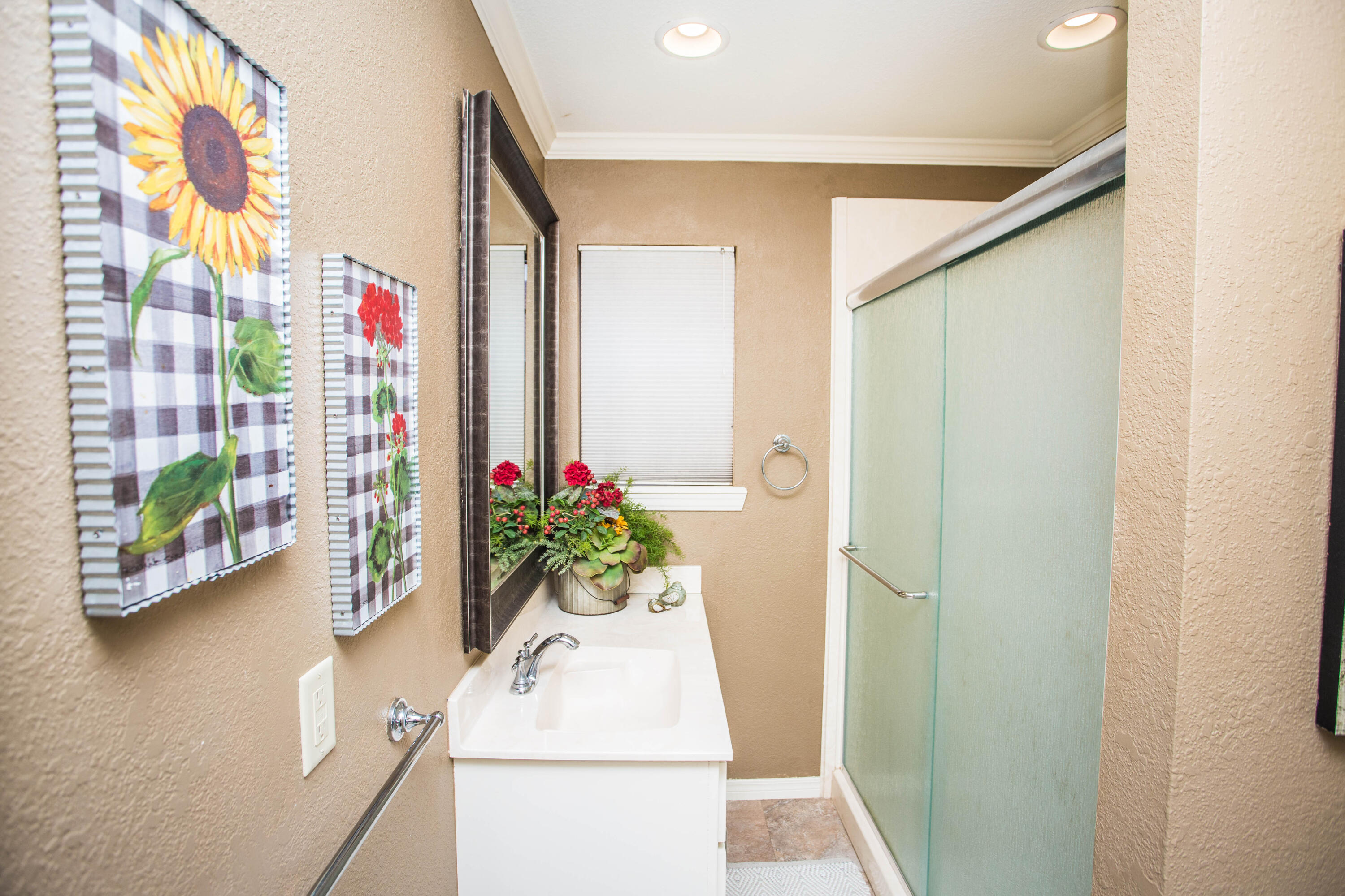 1304 Jefferson Drive Plainview, TX 79072 - Photo 31 of 50 a bath room with a door and a potted plant