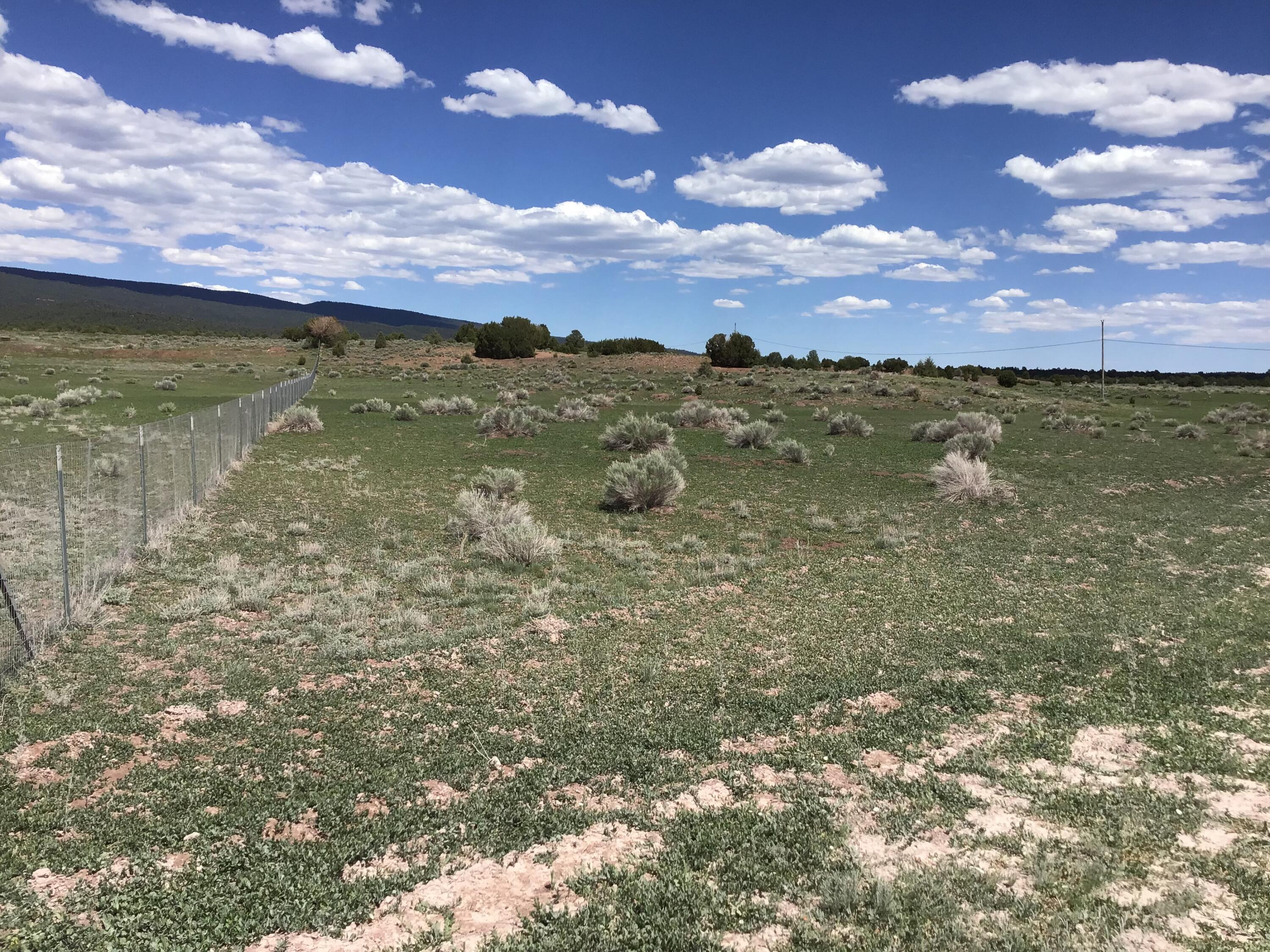Lot D Timberlake Road Ramah, NM 87321 - Photo 36 of 45 Gallery Image 36