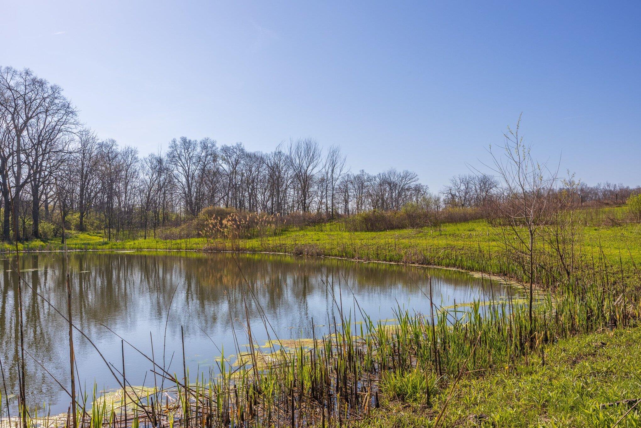 8885 Burmeister Road Saline, MI 48176 - Photo 41 of 58 080_burmeister_rd-46_894