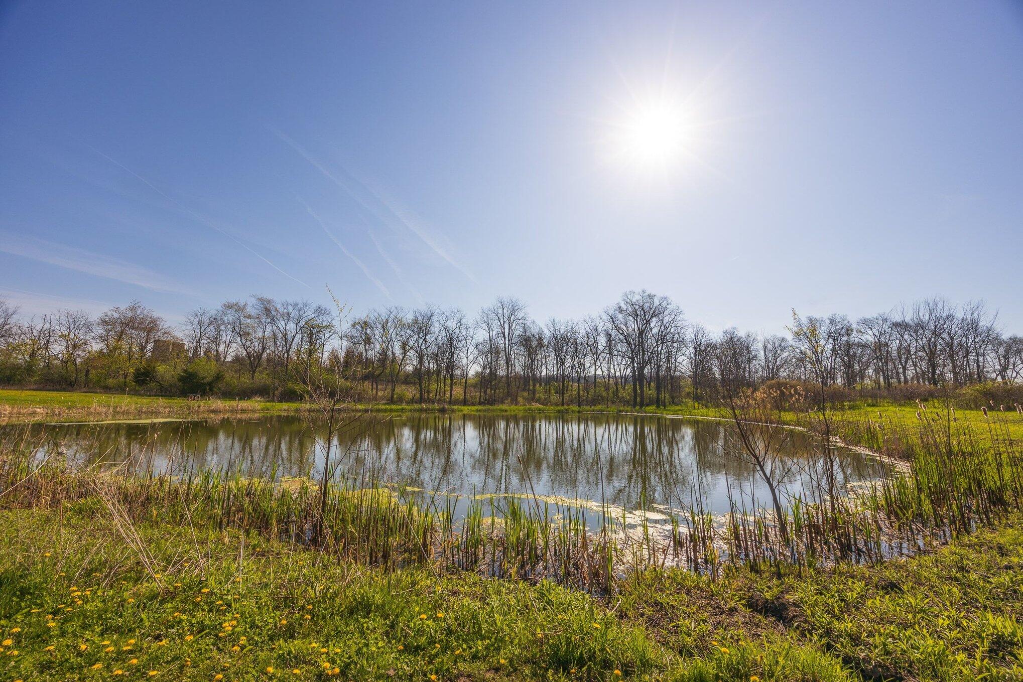 8885 Burmeister Road Saline, MI 48176 - Photo 42 of 58 056_burmeister_rd-49_392