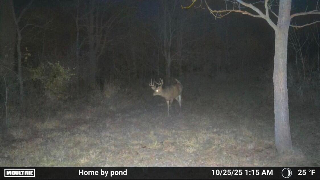 8885 Burmeister Road Saline, MI 48176 - Photo 50 of 58 buck 2