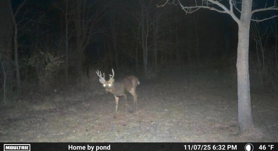 8885 Burmeister Road Saline, MI 48176 - Photo 54 of 58 buck 1