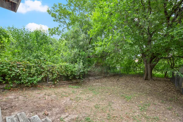a view of a forest with trees in the background