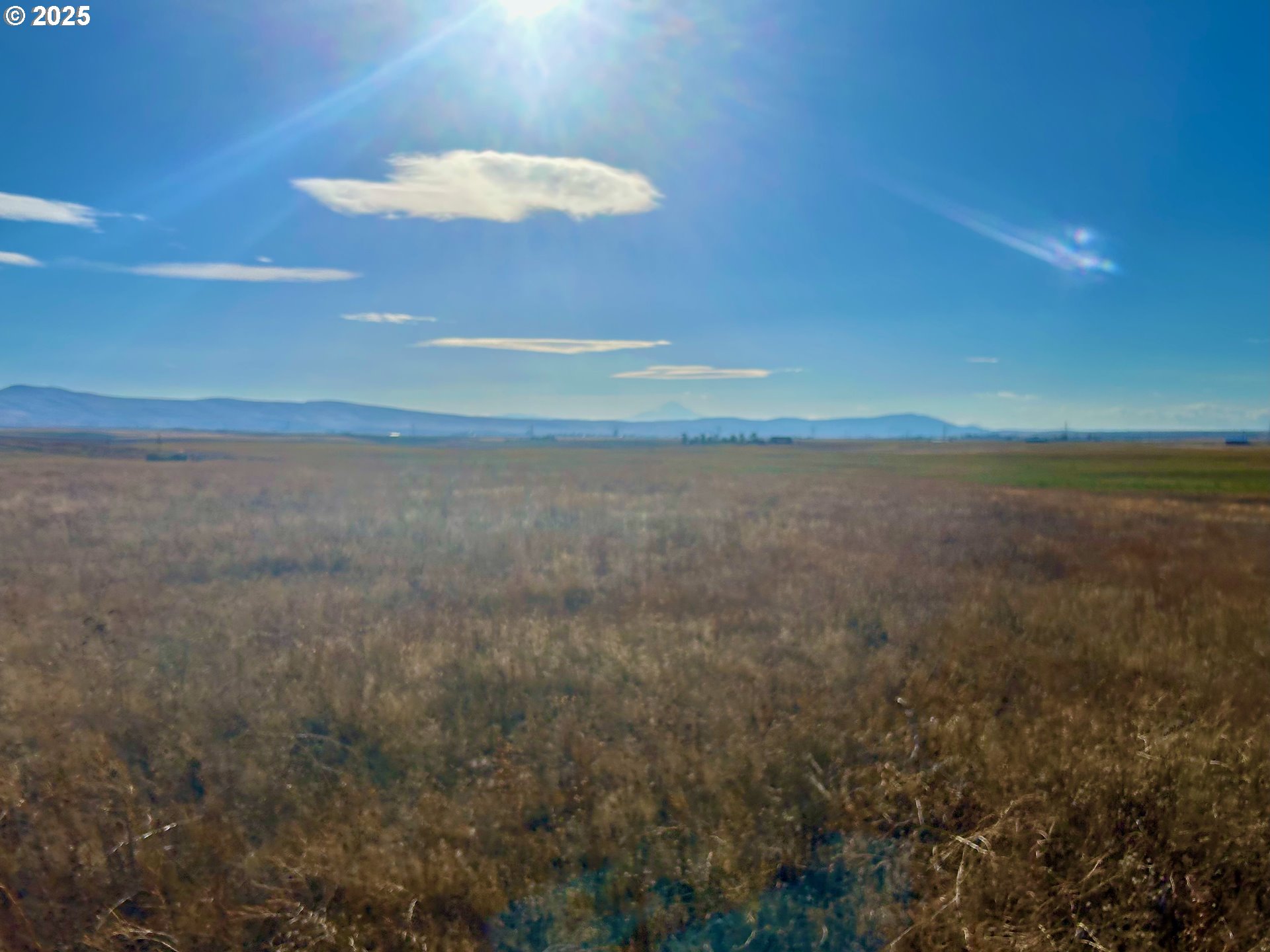 55 Cole Mt Loop Goldendale, WA 98620 - Photo 5 of 9