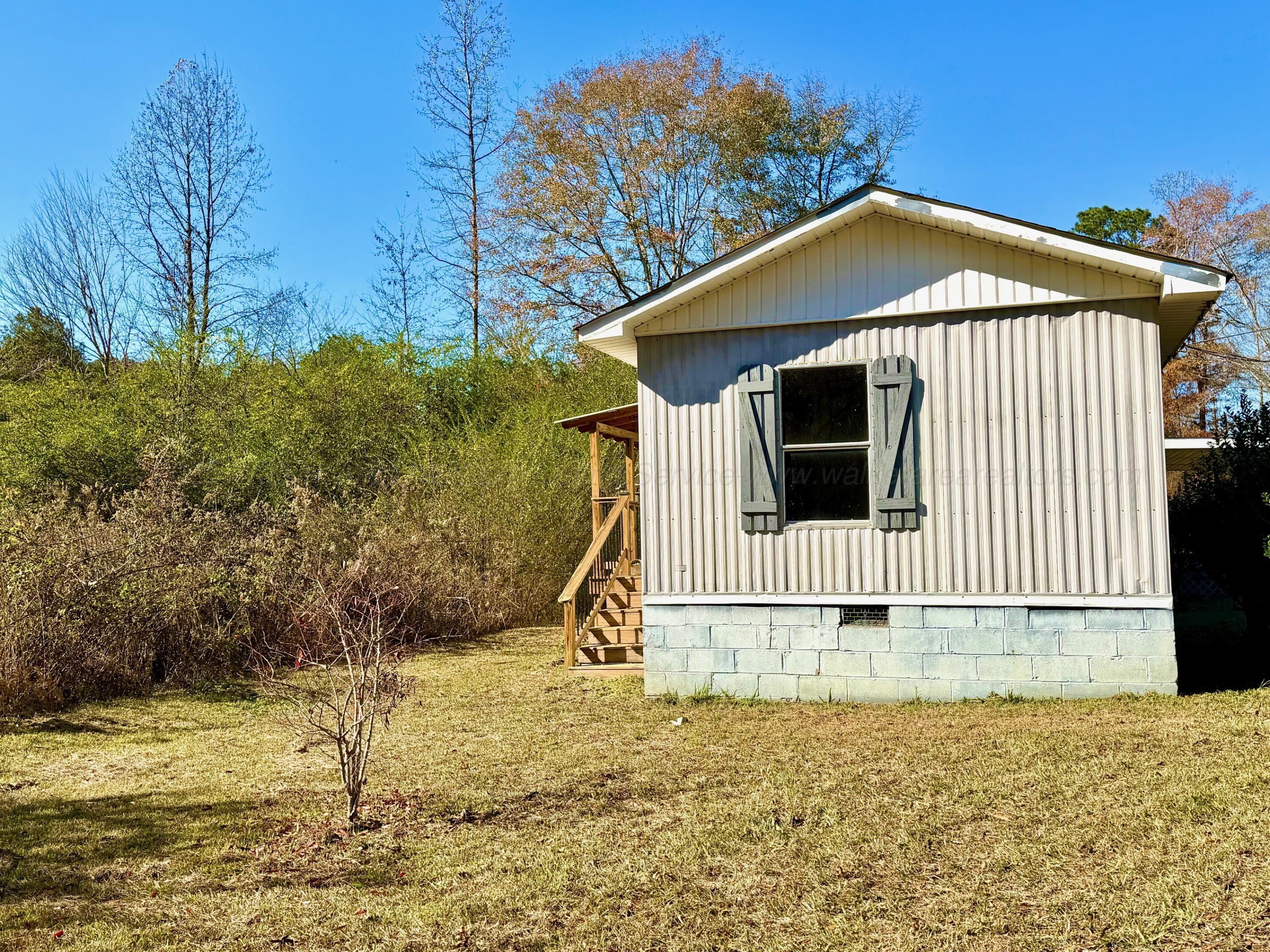 695 Russell Dairy Road Jasper, AL 35503 - Photo 25 of 36 side house