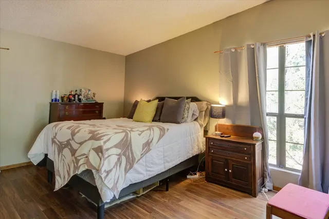 a view of a park with large trees