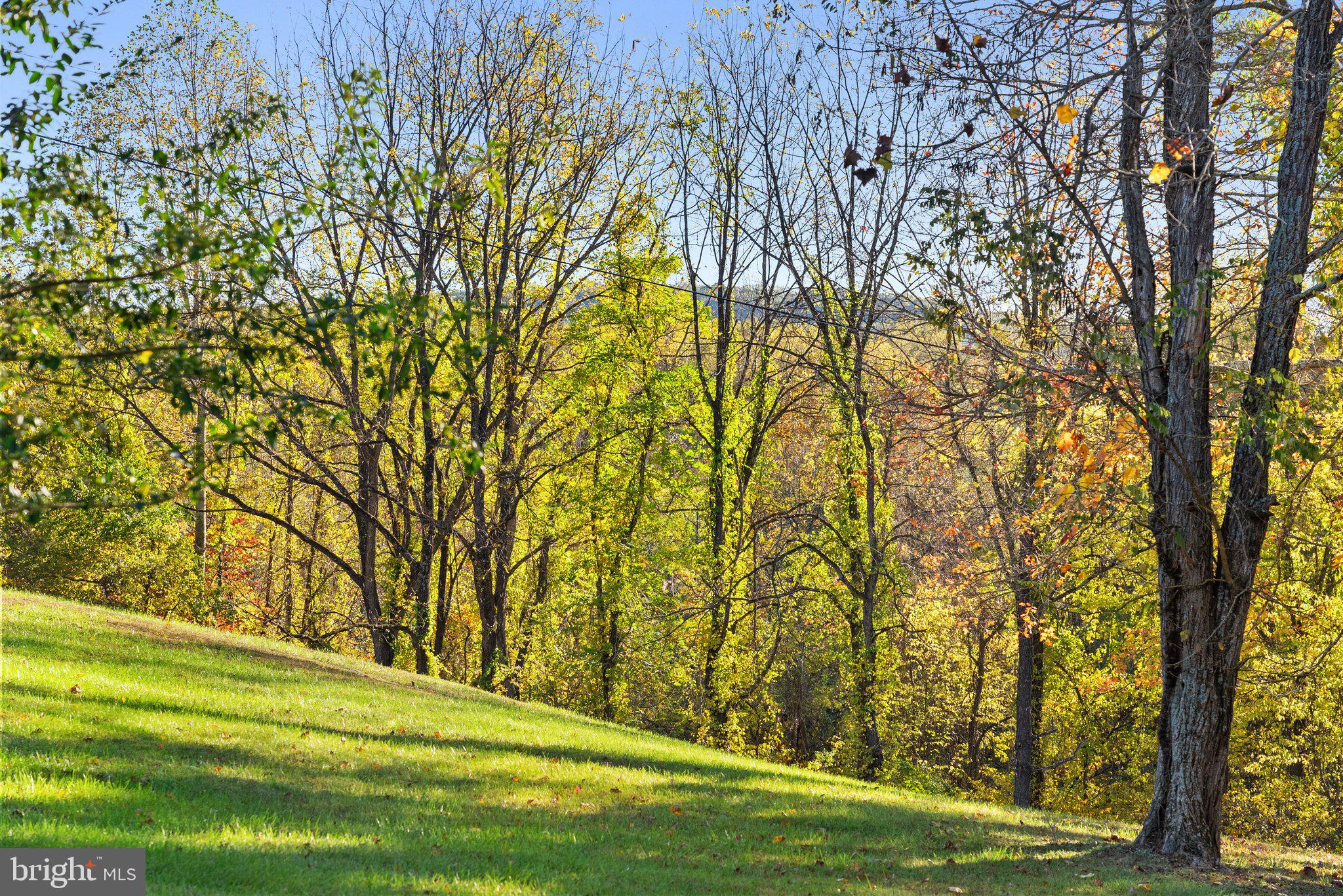 256 Hunters Road Washington, VA 22747 - Photo 48 of 59