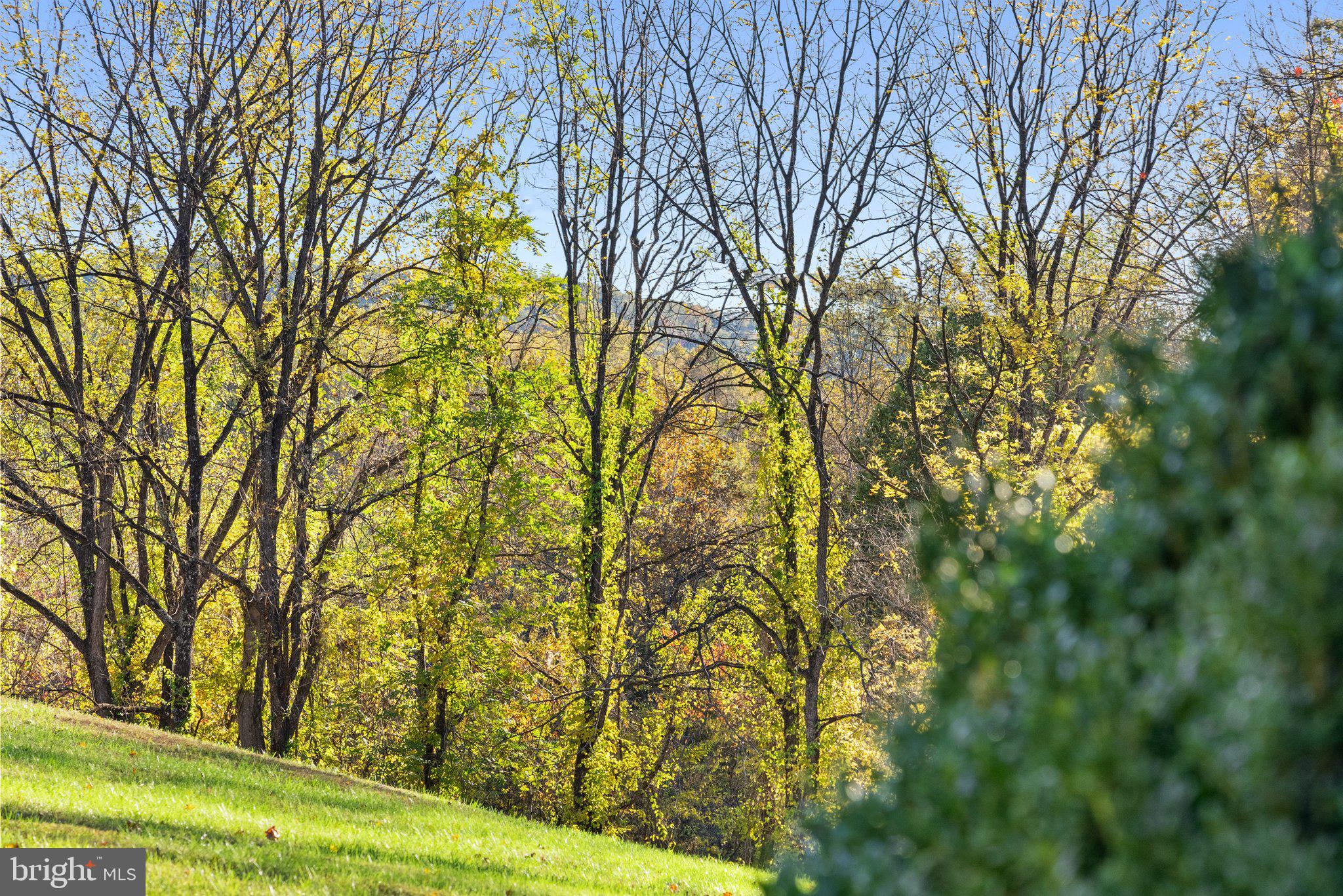 256 Hunters Road Washington, VA 22747 - Photo 49 of 59