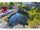148 Roanoke Road Fletcher, NC 28732 - Photo 29 of 33 a view of a yard