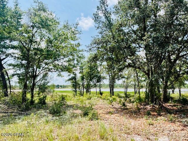0 Lake Ridge Drive Chipley, FL 32428 - Photo 14 of 21