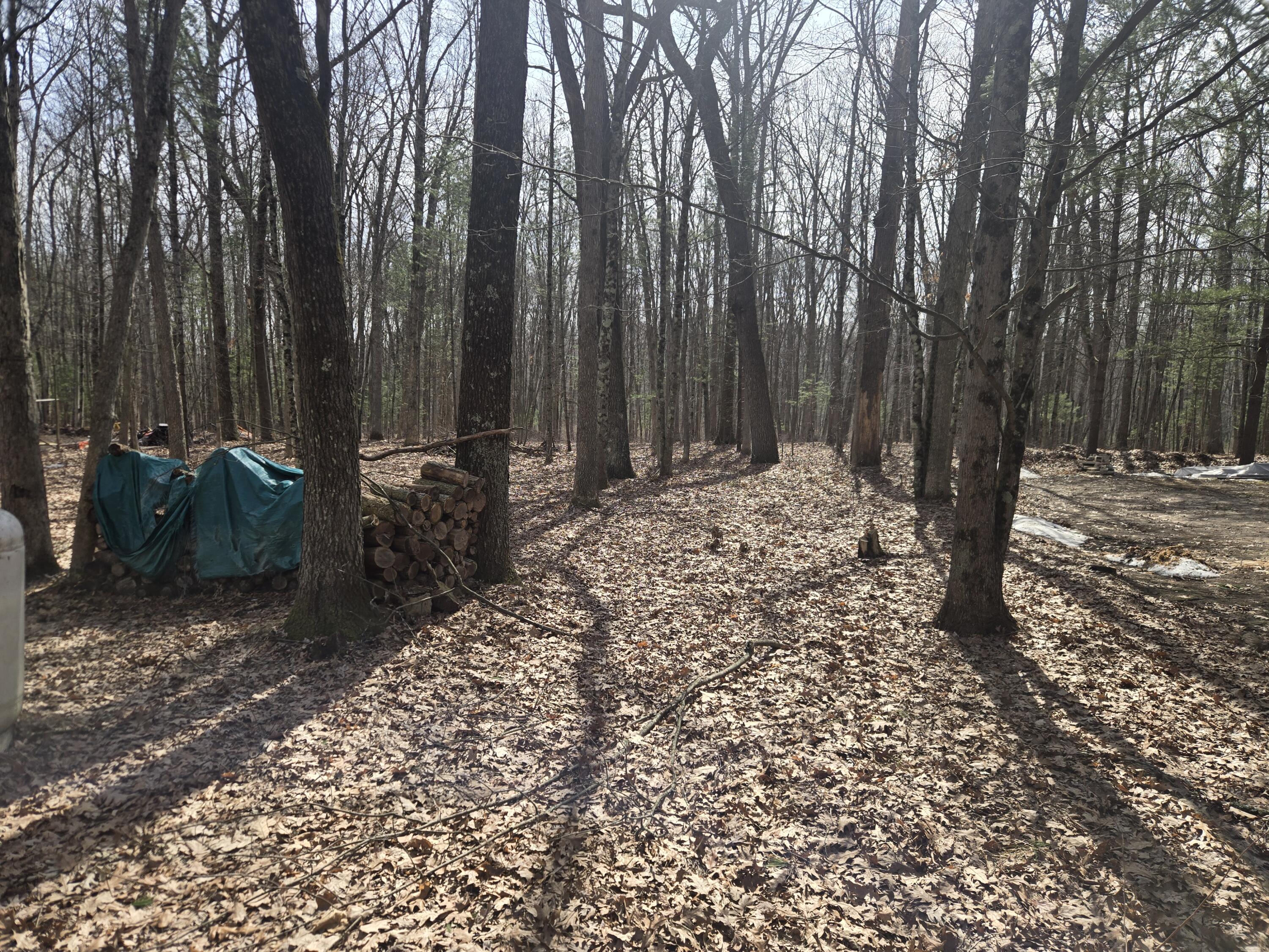 8099 East Johnson Road Branch, MI 49402 - Photo 5 of 16 1000006528