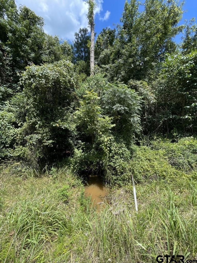 947 St Timpson Tx 75975 Timpson, TX 75975 - Photo 9 of 12 a view of a garden with plants