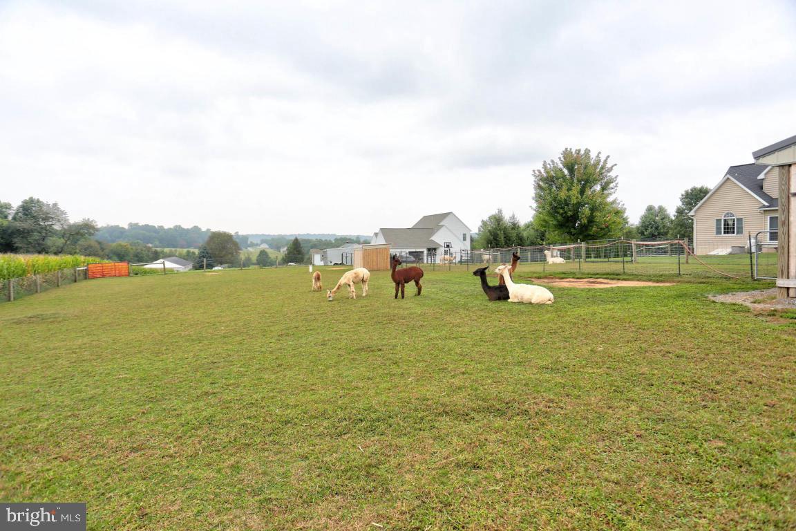 362 Hereford Road Elizabethtown, PA 17022 - Photo 49 of 59 Pasture