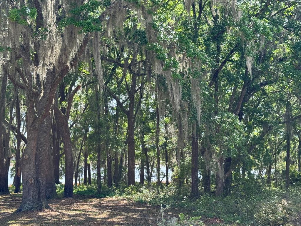 Tbd Southwest Clearwater Court Dunnellon, FL 34431 - Photo 4 of 4