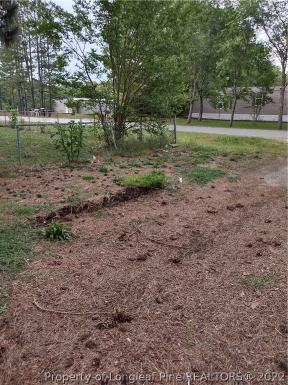 264 Freeman Mill Road Hamlet, NC 28345 - Photo 2 of 18 a view of a forest with trees