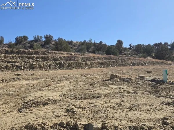 $29,000 | 163 High Meadows Drive, Florence, CO 81226