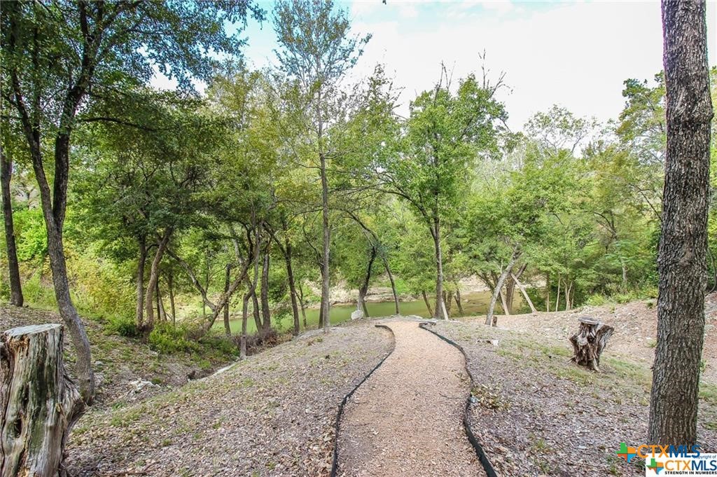 10286 Hartrick Bluff Road Temple, TX 76502 - Photo 11 of 46 a view of a yard with a tree