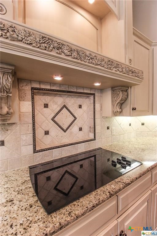 10286 Hartrick Bluff Road Temple, TX 76502 - Photo 28 of 46 a close view of stove top oven