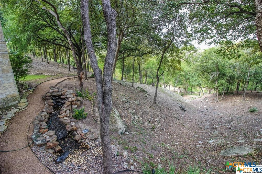 10286 Hartrick Bluff Road Temple, TX 76502 - Photo 10 of 46 a view of a forest with trees