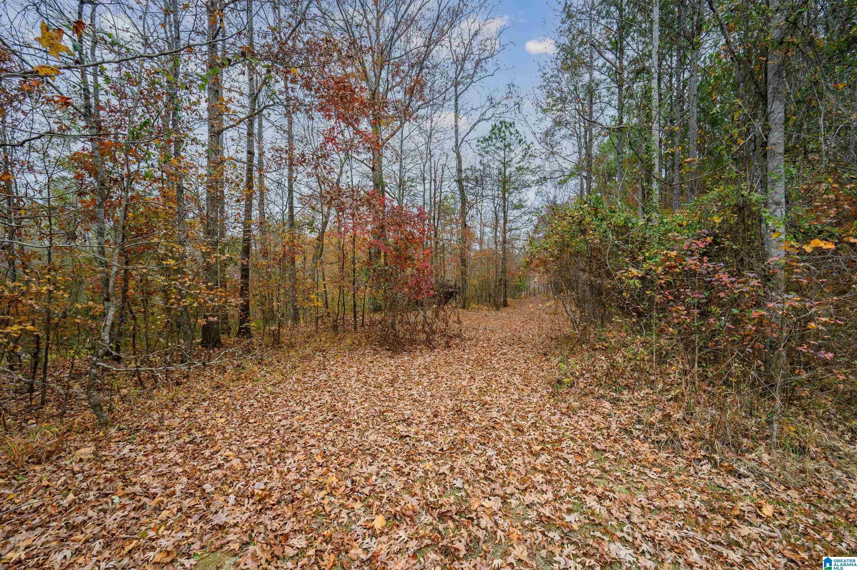 8799 Shades Fall Way, Unit 2 Bessemer, AL 35022 - Photo 35 of 45
