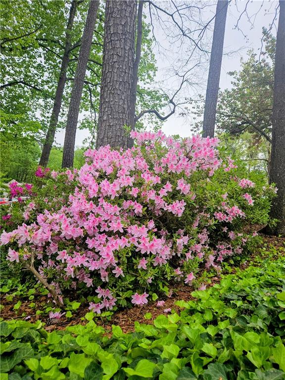 206 Wynnes Ridge Circle Southeast Marietta, GA 30067 - Photo 31 of 31