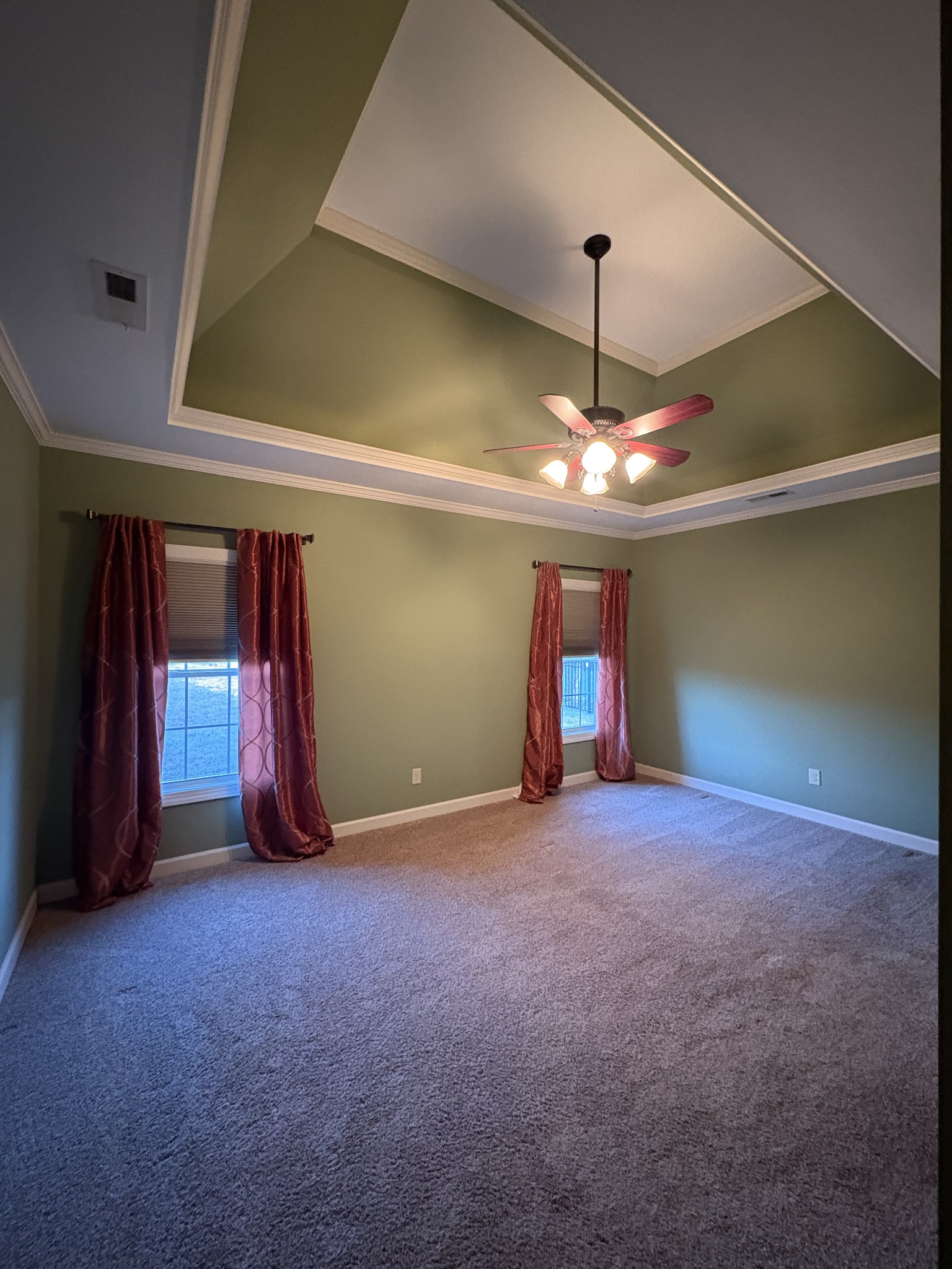 117 Grayson Lane White House, TN 37188 - Photo 15 of 24 a big room with closet and a ceiling fan