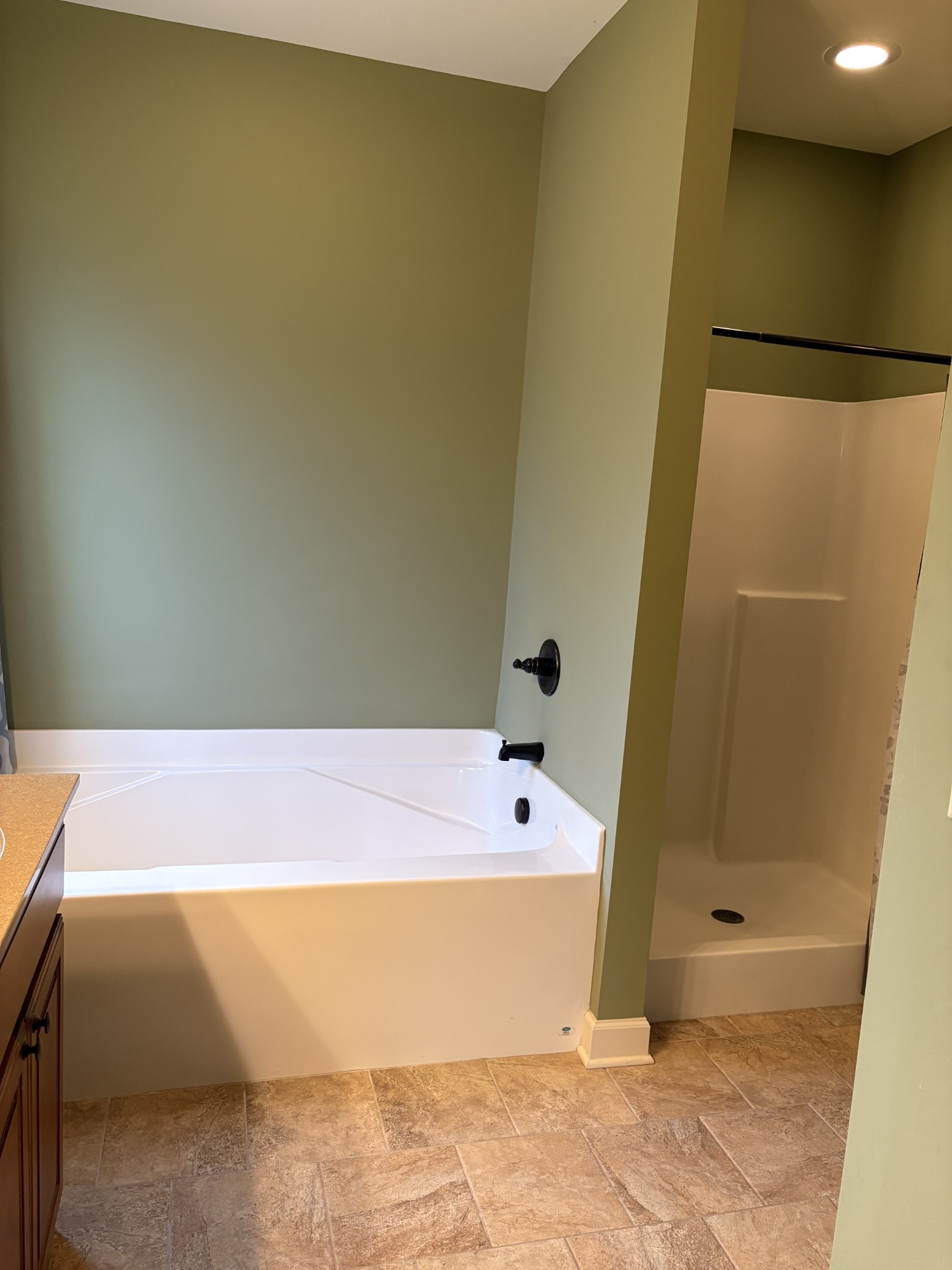 117 Grayson Lane White House, TN 37188 - Photo 17 of 24 a bath tub sitting next to a shower
